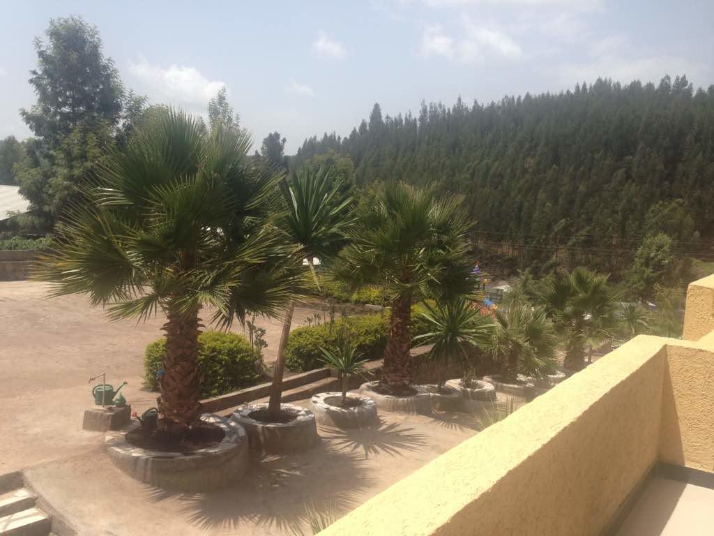 Joamla Hotel Desē Εξωτερικό φωτογραφία